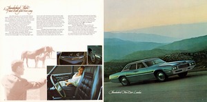 1971 Ford Thunderbird-08-09.jpg